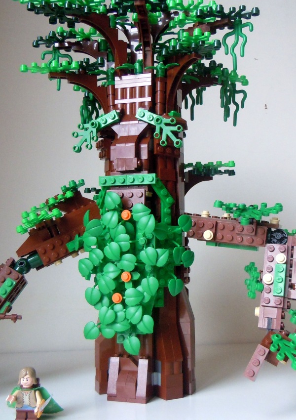 ent021_800x600.jpg