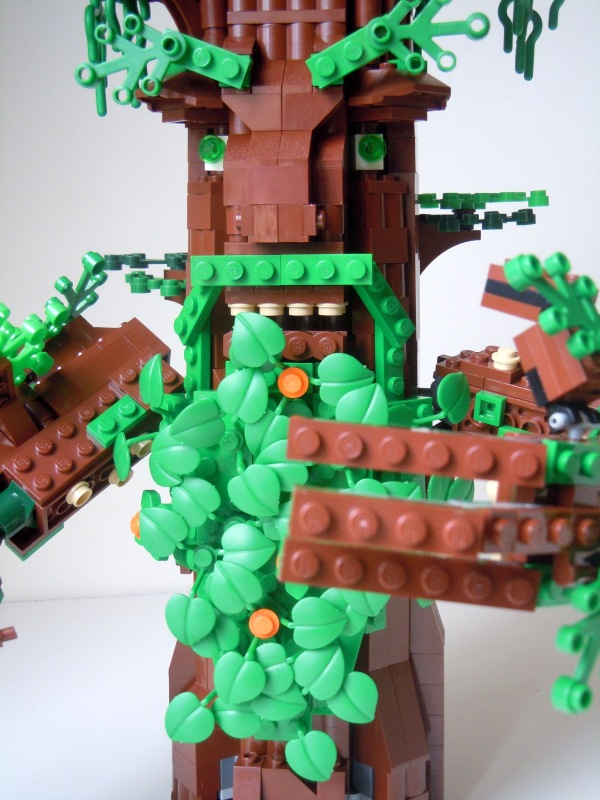 ent03_800x600.jpg