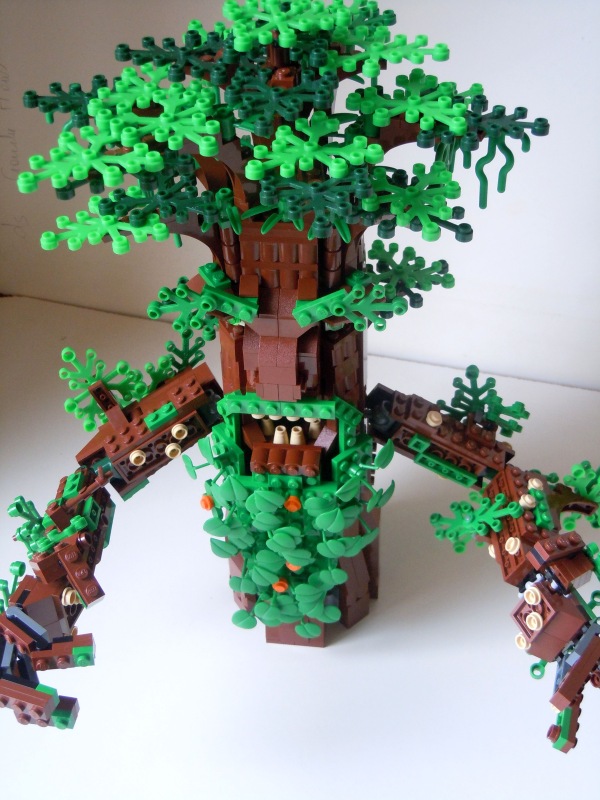ent07_800x600.jpg