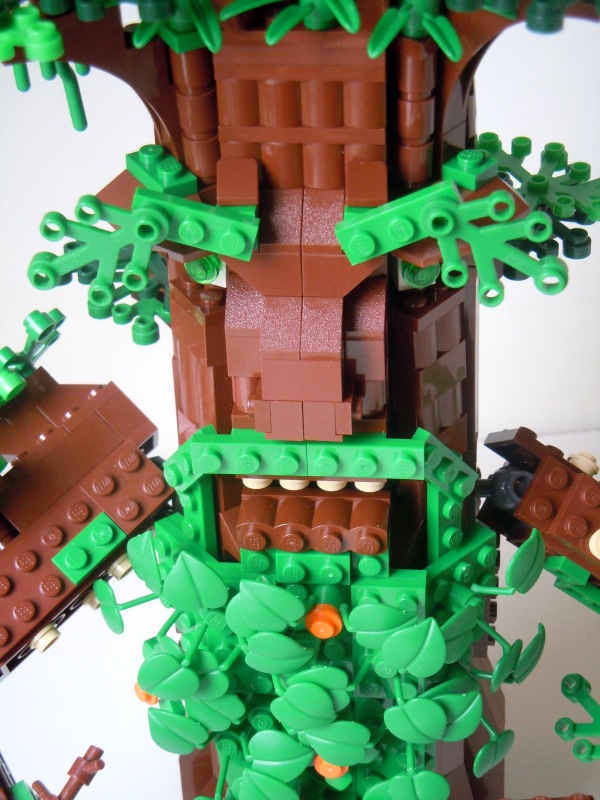 ent10_800x600.jpg