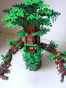 ent07_800x600.jpg