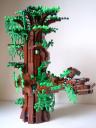 ent08_800x600.jpg