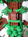 ent10_800x600.jpg