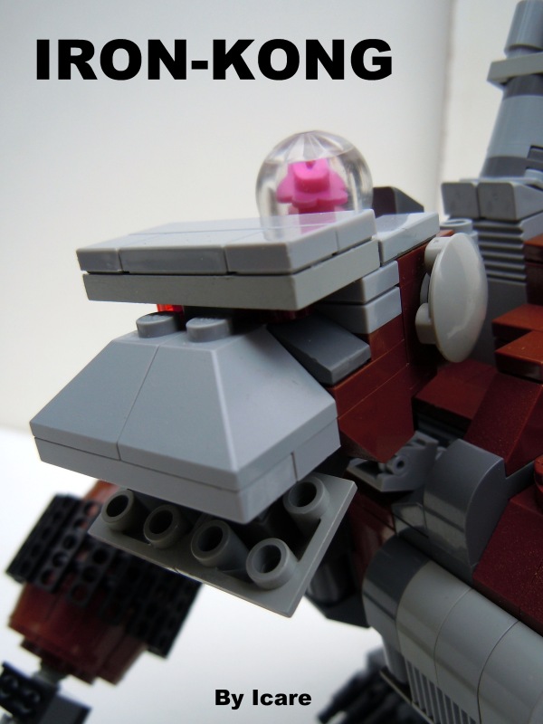 iron-kong_800_07.jpg