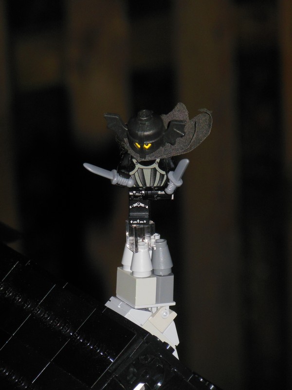 wip_fana2013_03.jpg