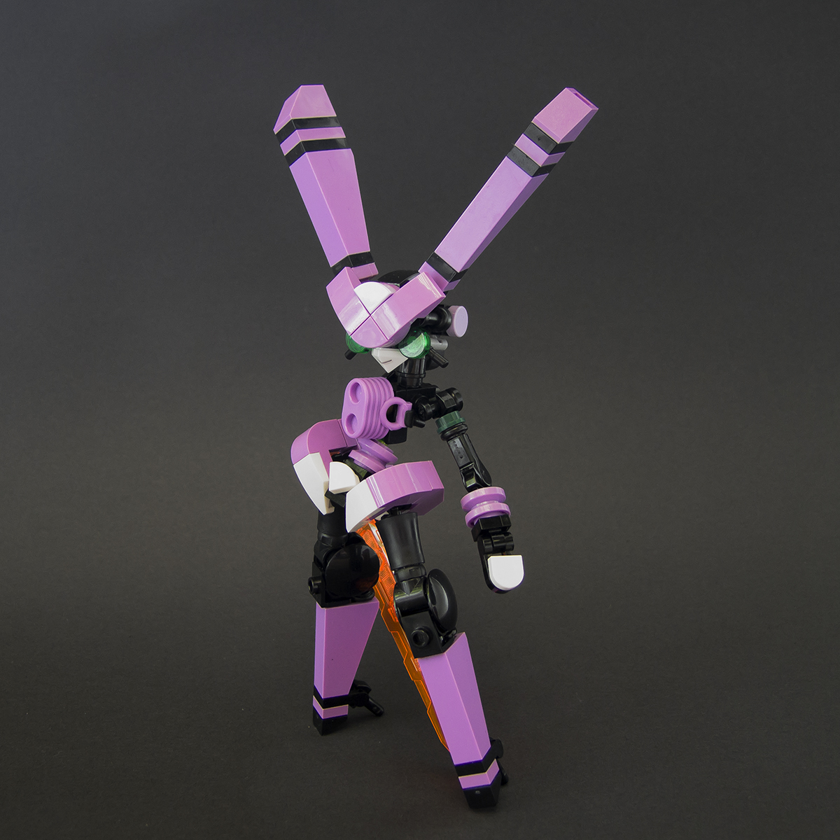 dscf9518.jpg
