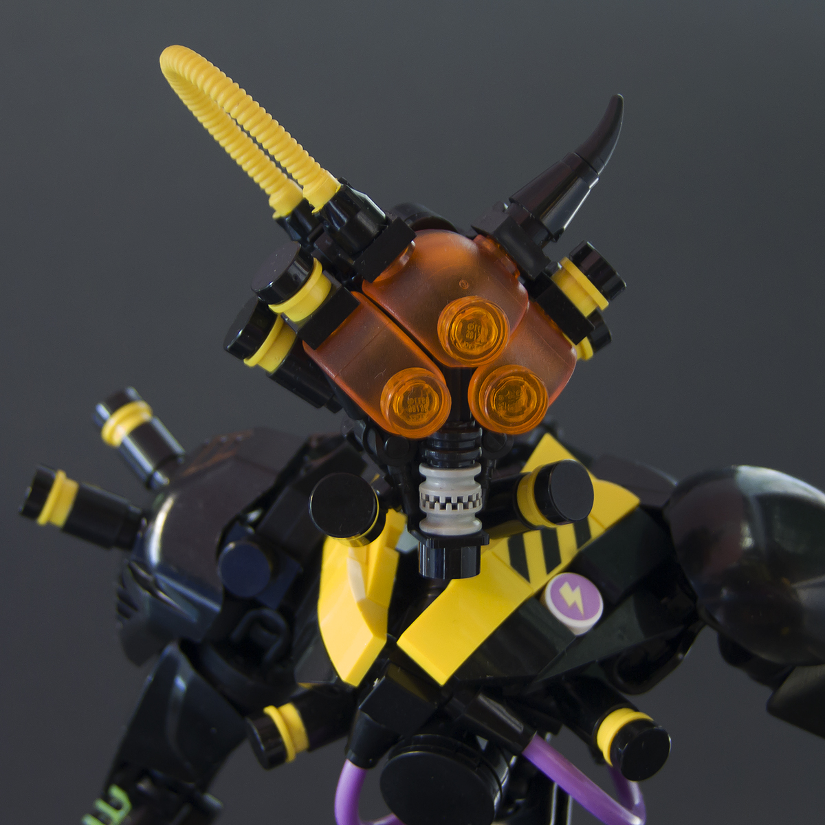 dscf9641.jpg