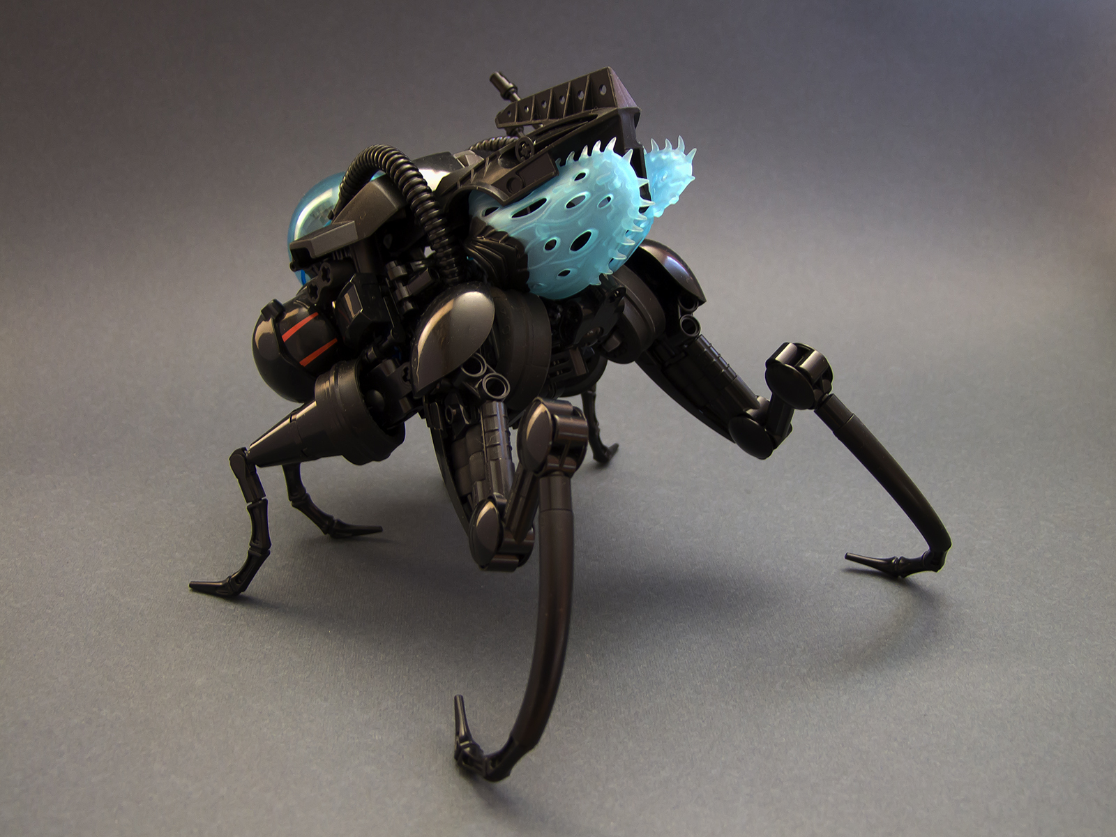 dscf8094.jpg