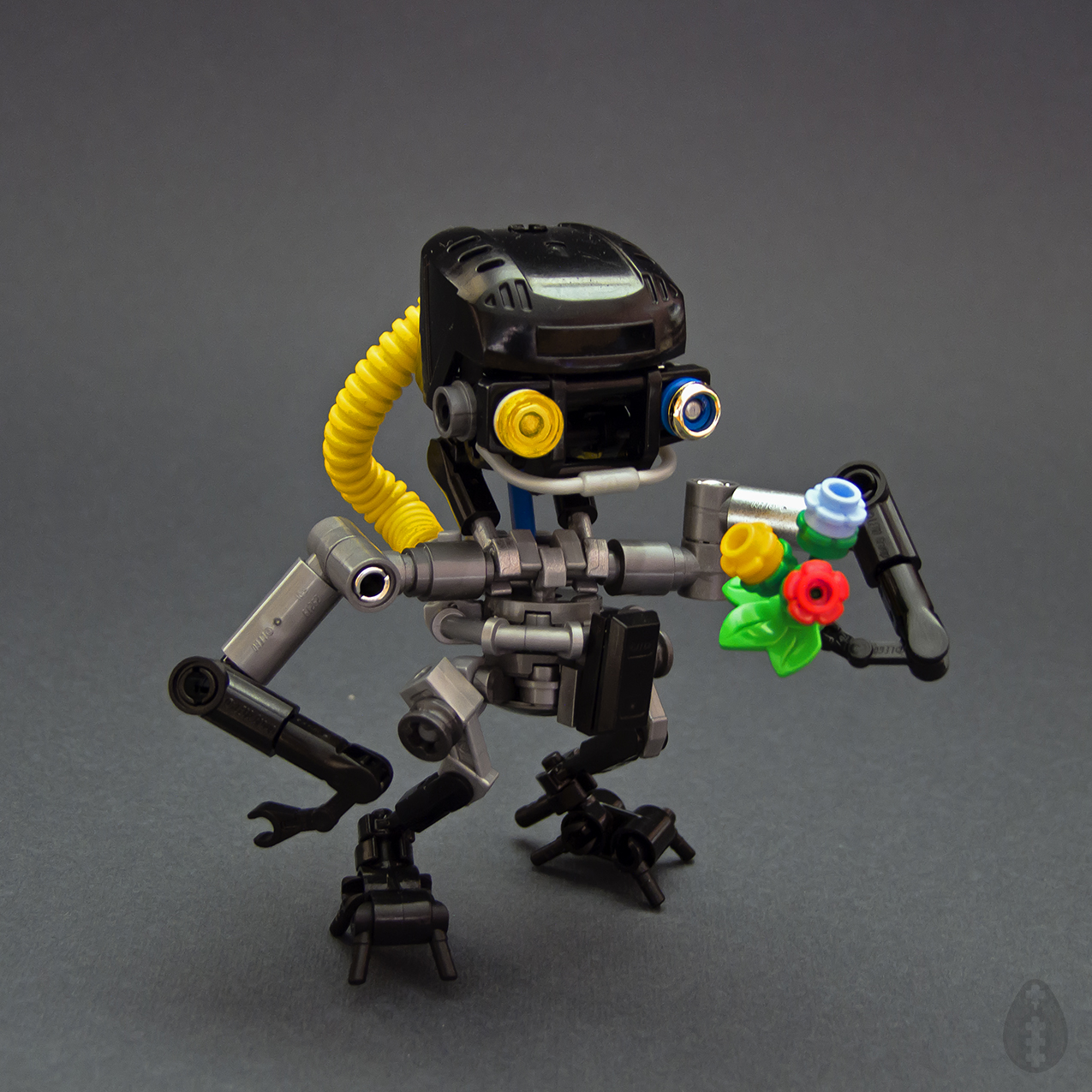 0dscf8583sqlogo.jpg