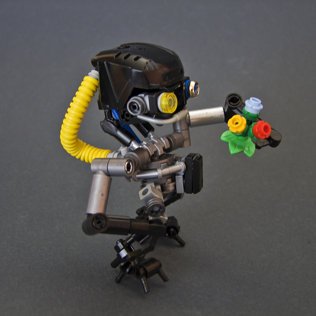 dscf8491.jpg