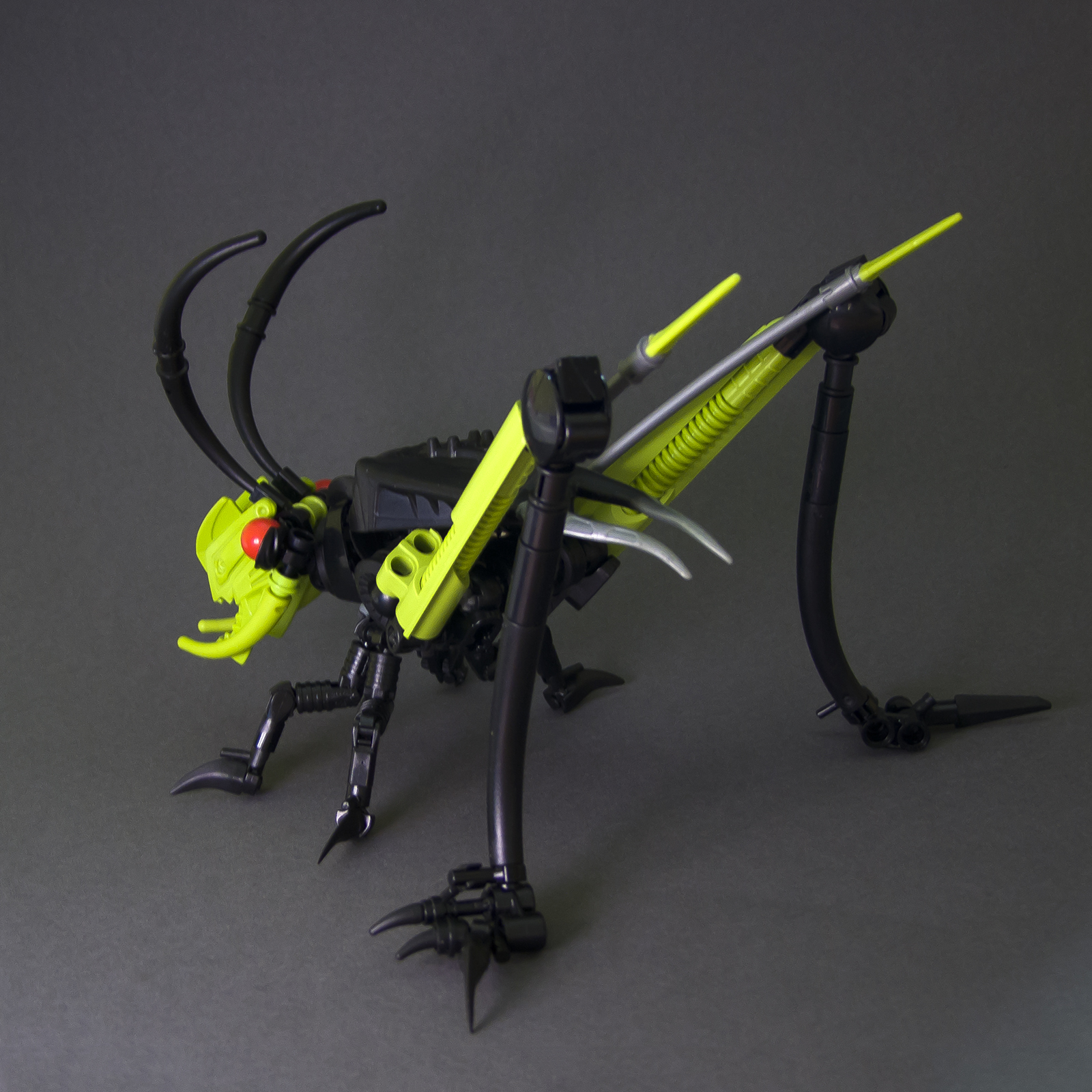 dscf9946.jpg