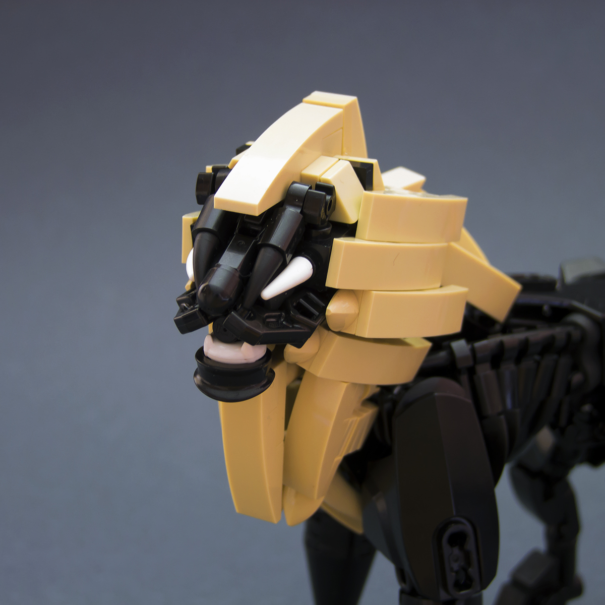 dscf9127.jpg