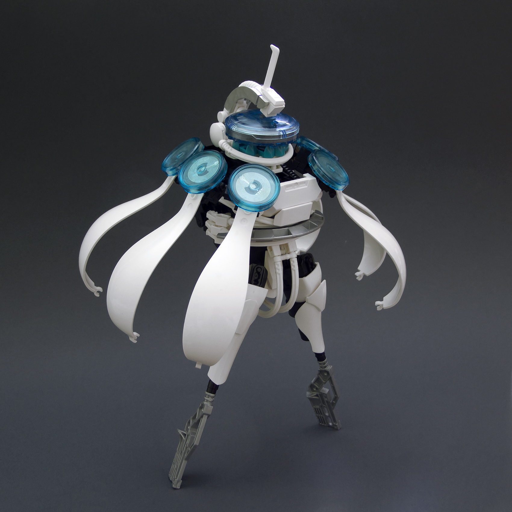 dscf1061.jpg