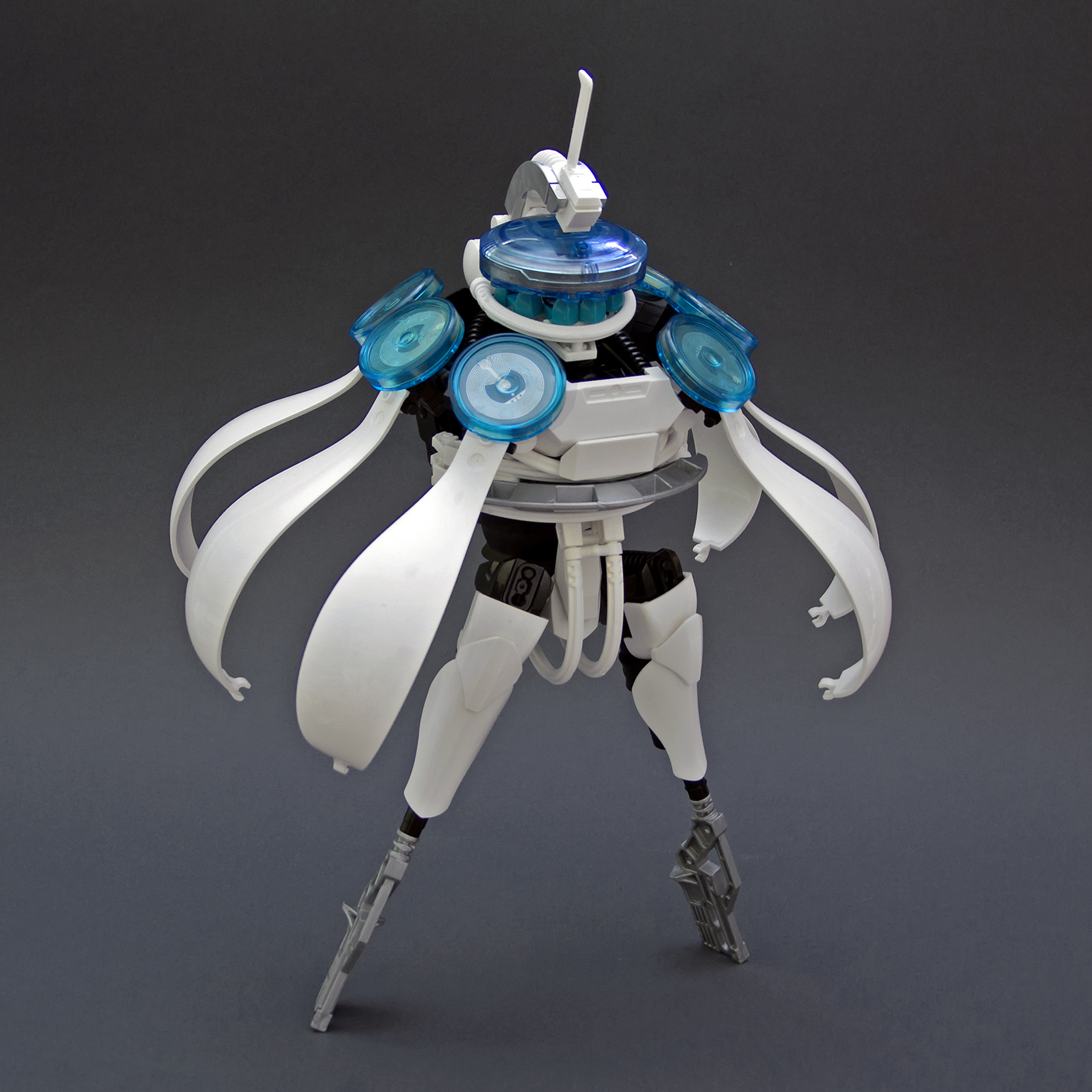 dscf1066.jpg