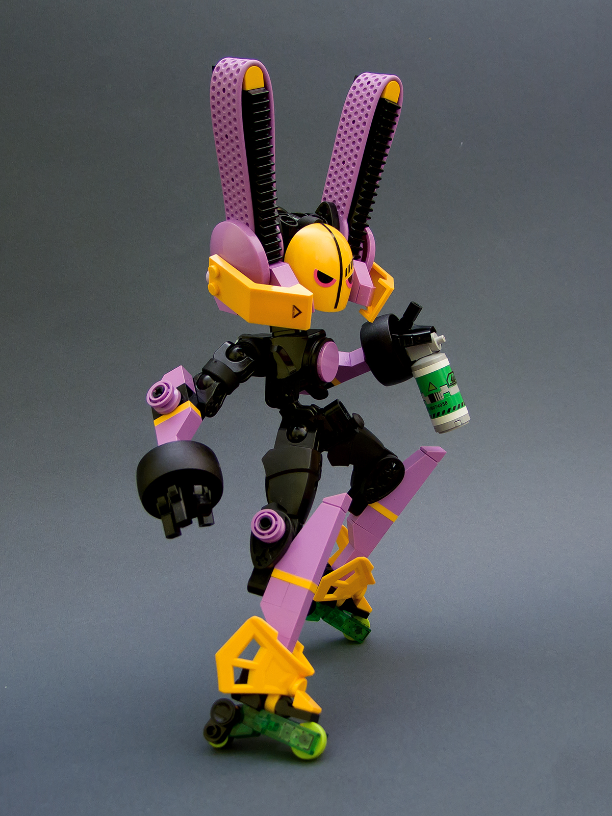 dscf1617.jpg