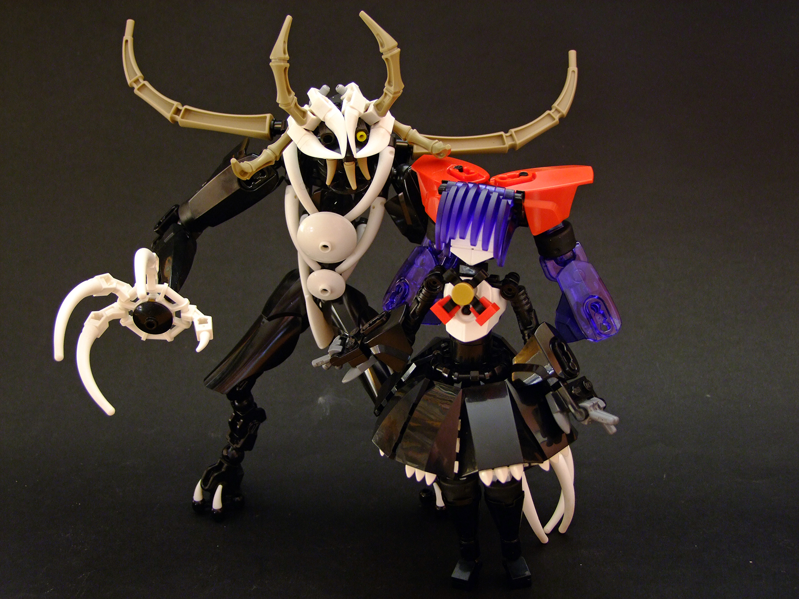 dscf1079.jpg