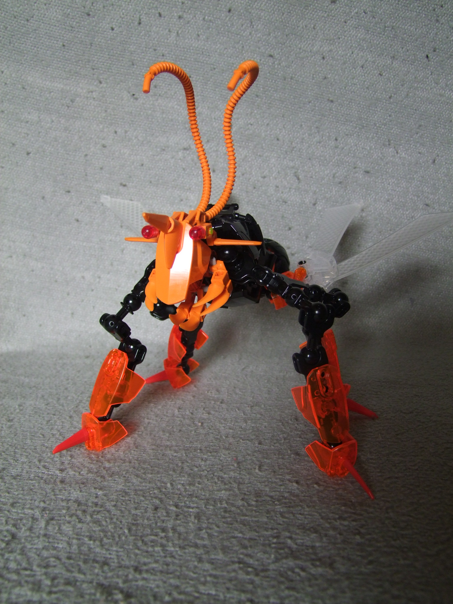 dscf6737.jpg