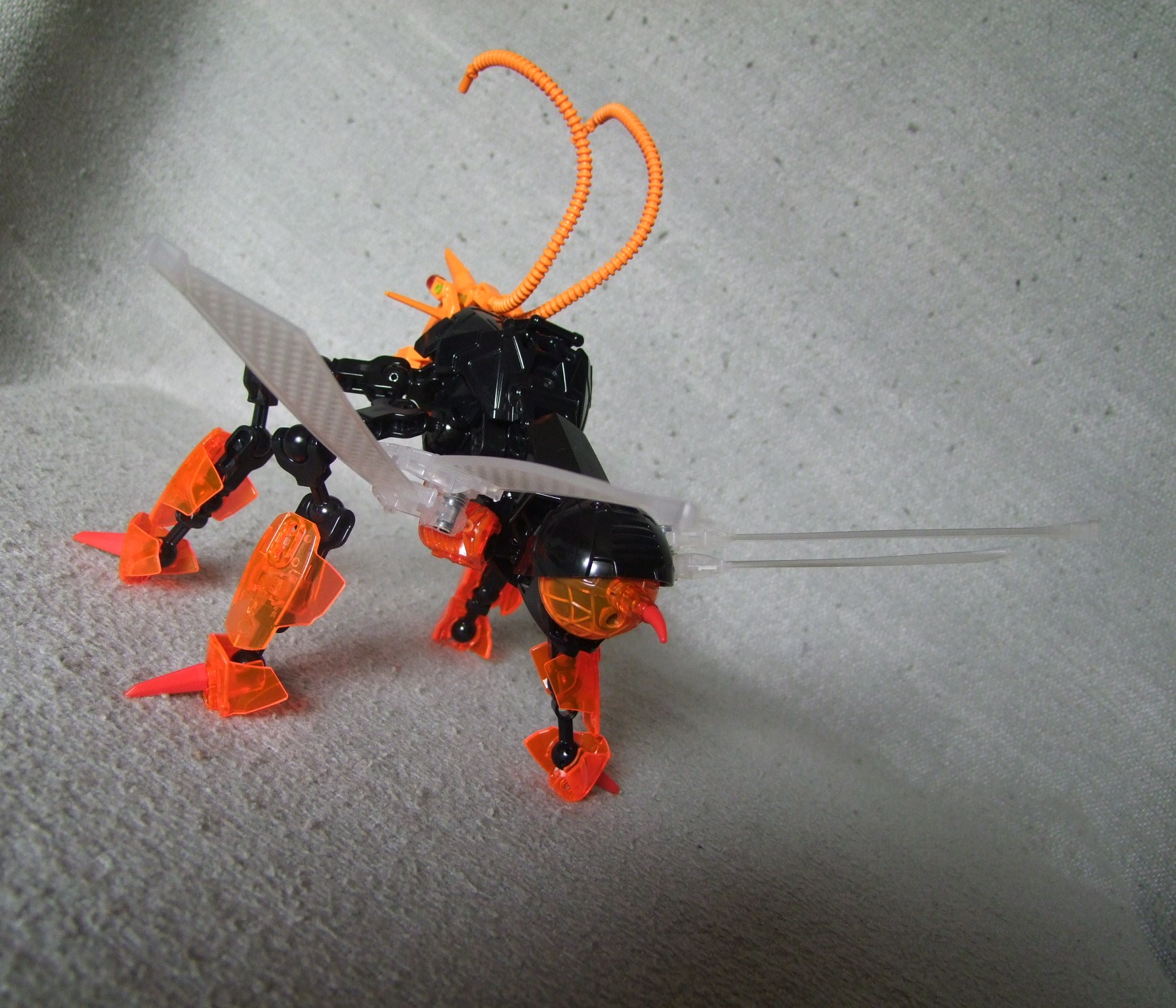 dscf6751.jpg