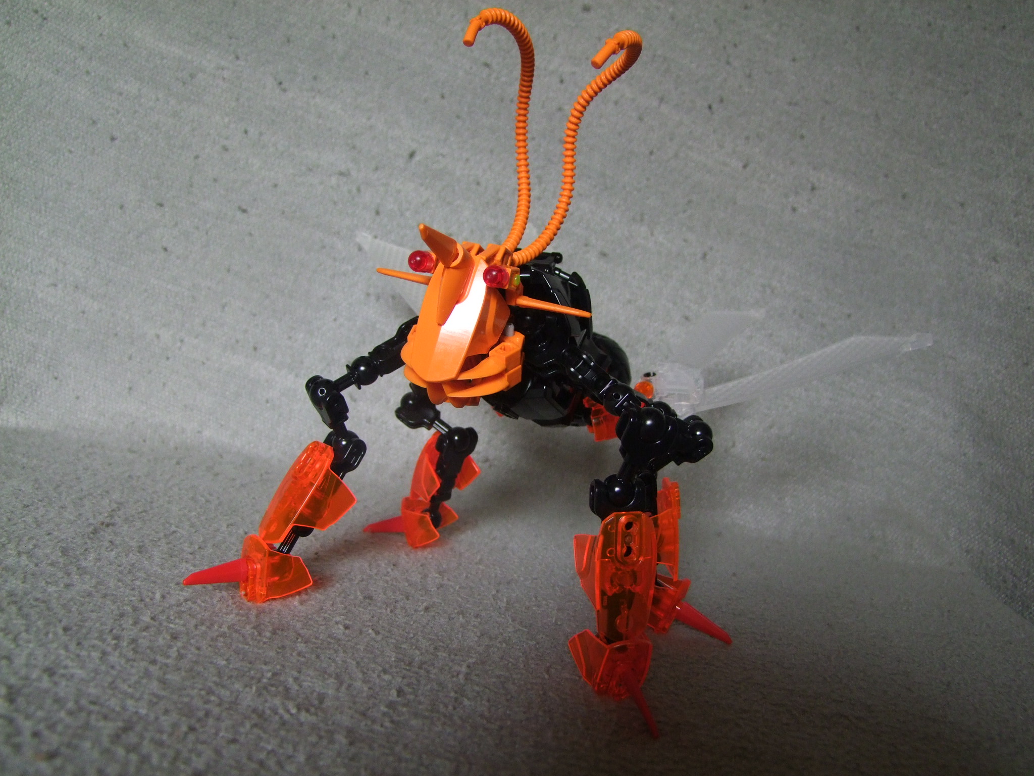 dscf6755.jpg