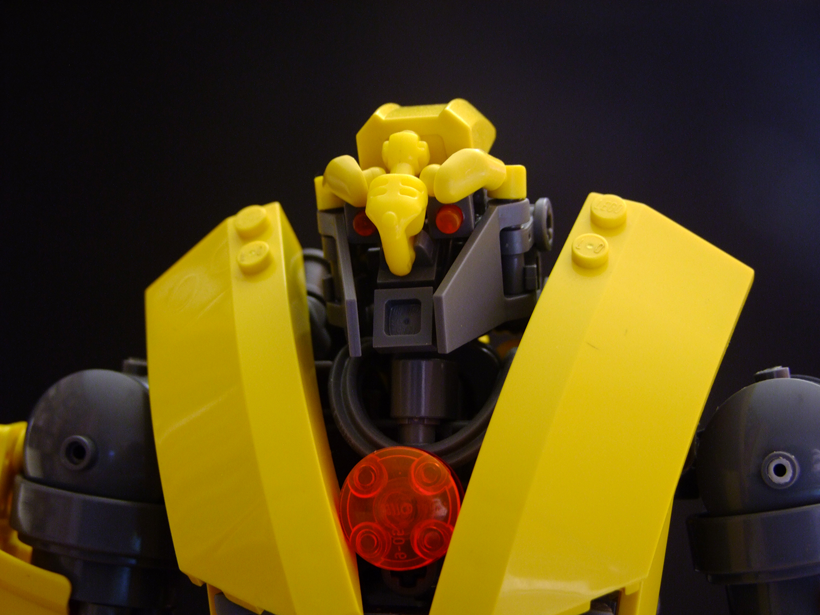 dscf6545.jpg