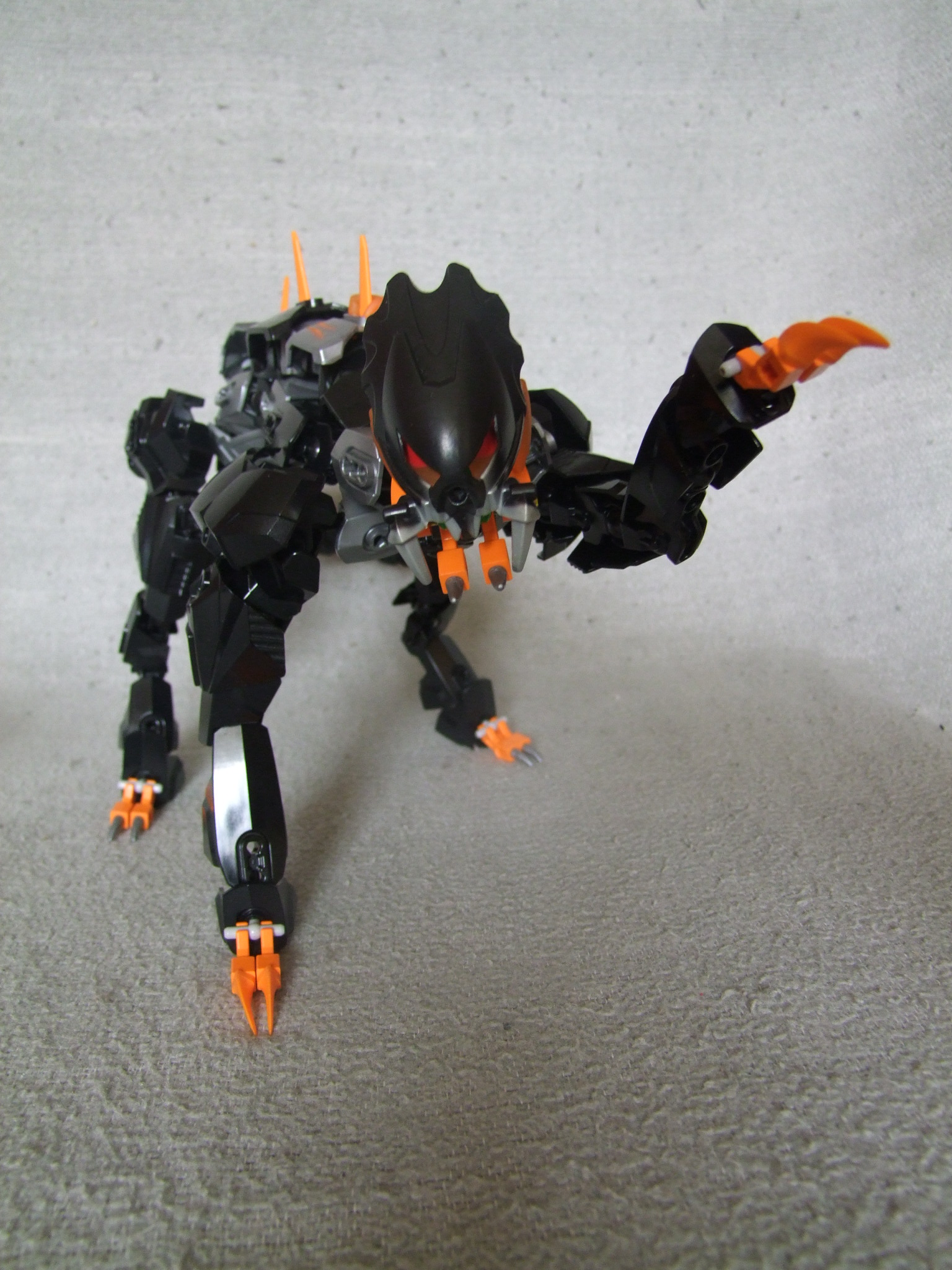 b5.jpg