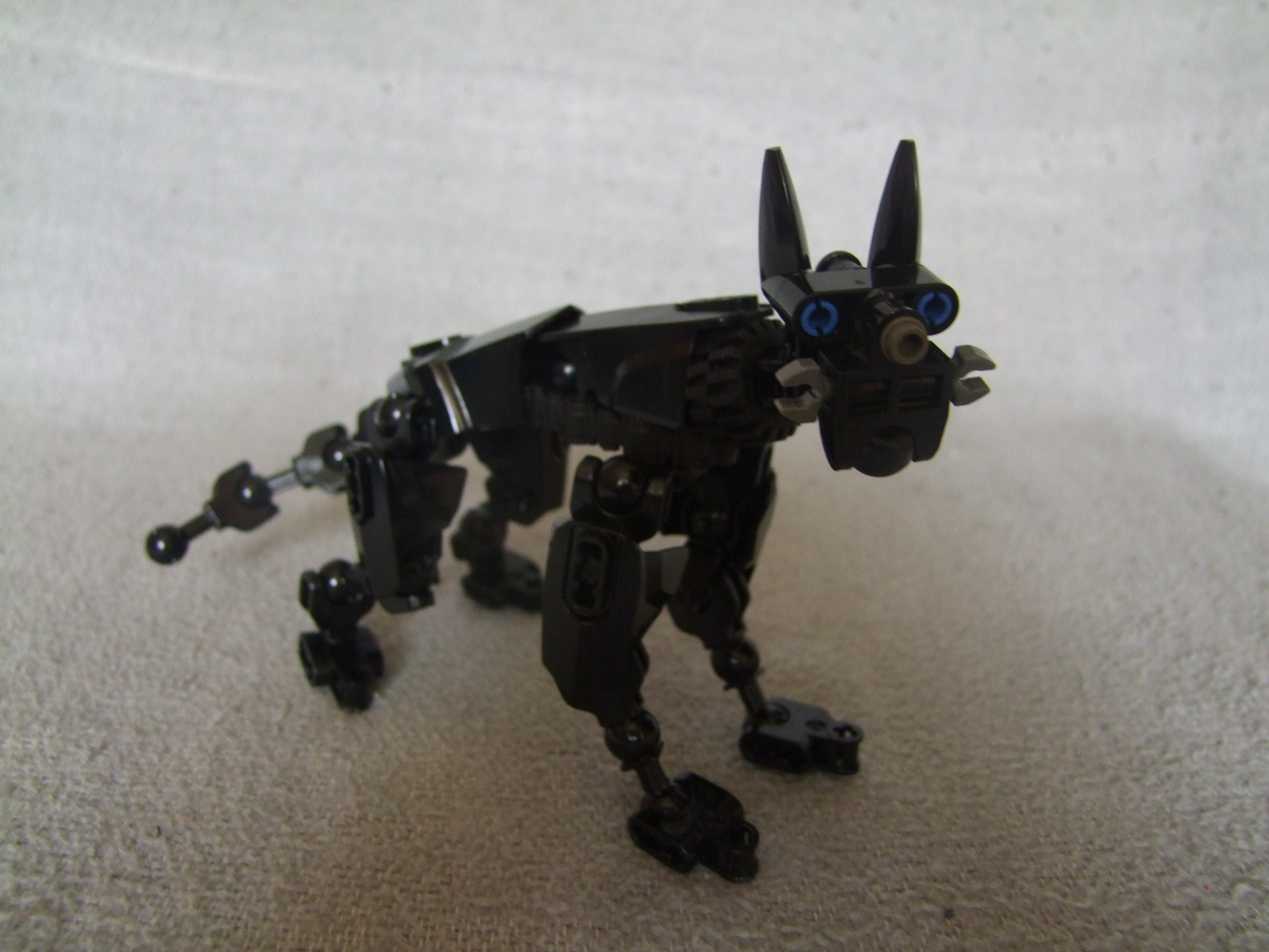 s1.jpg