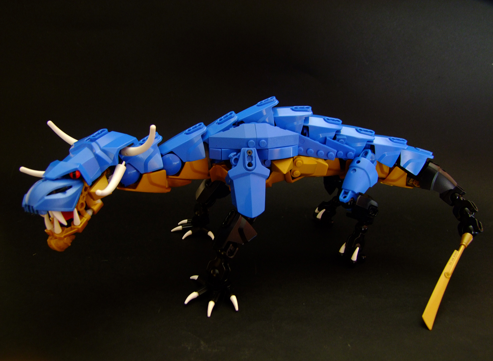 dscf6913.jpg