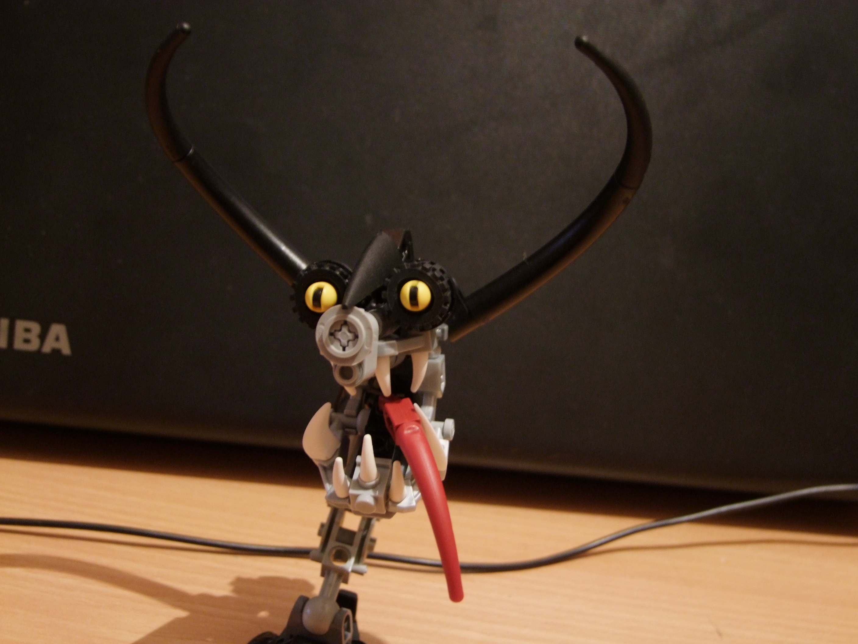 dscf1195.jpg