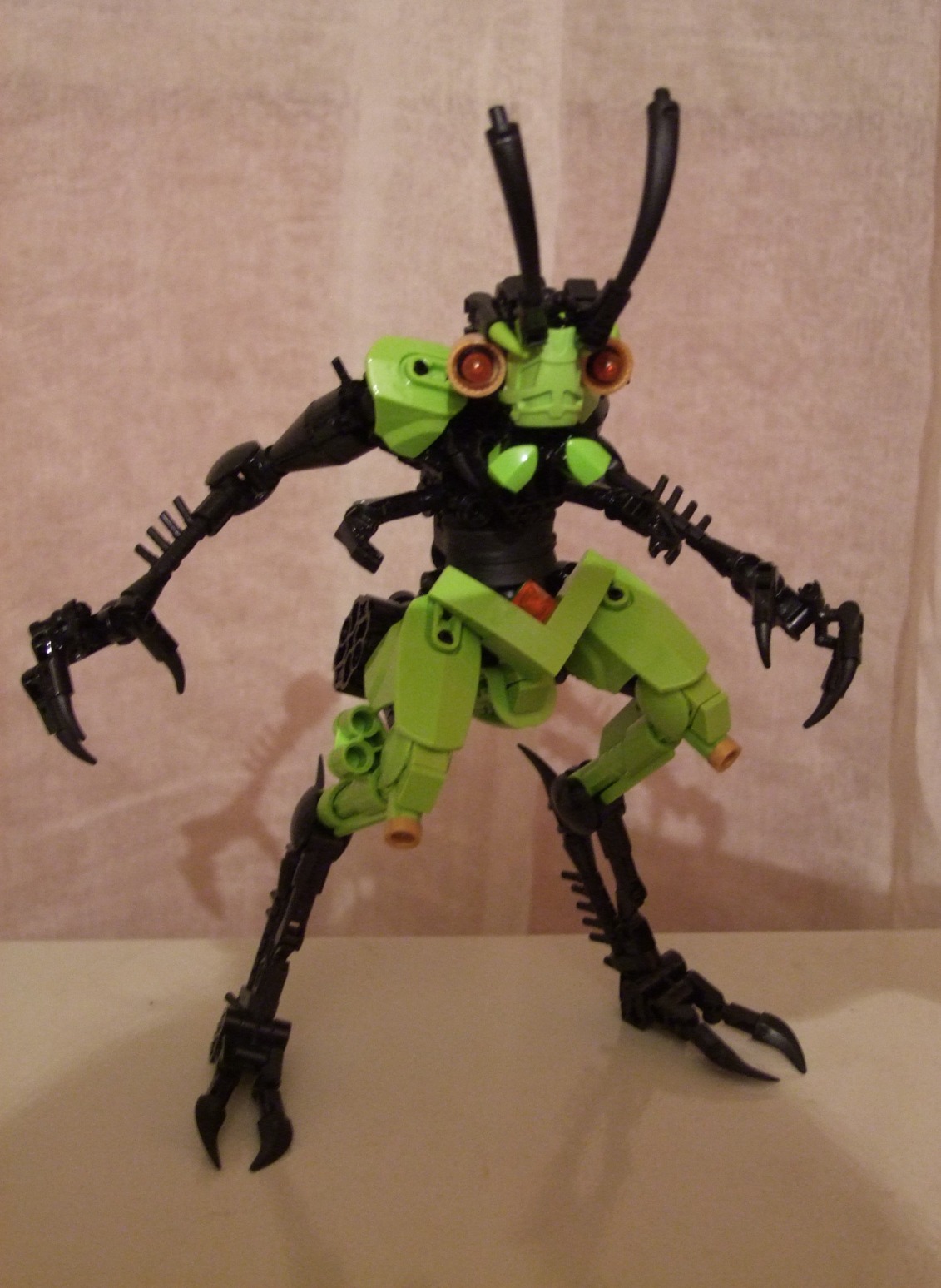 dscf1450.jpg