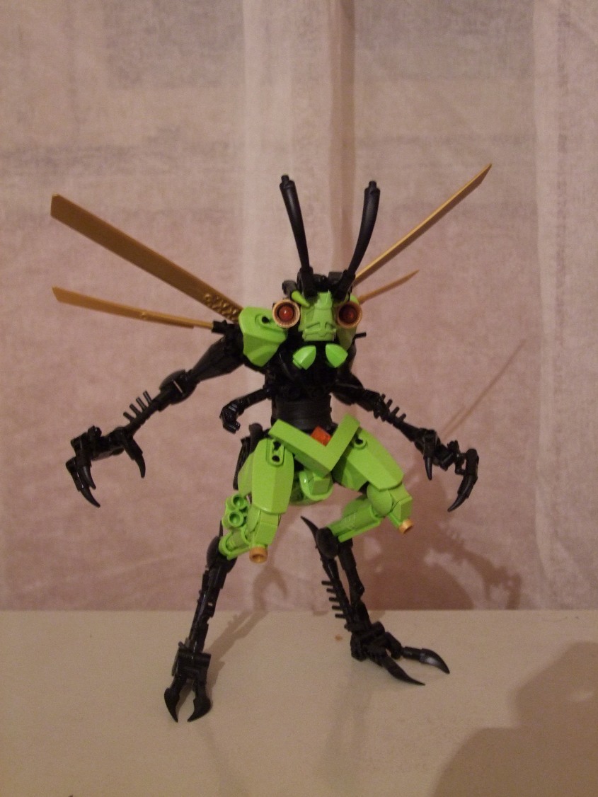 dscf1460.jpg