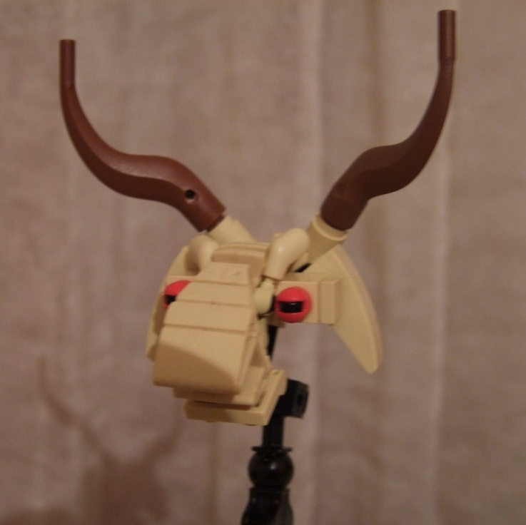 dscf5042.jpg