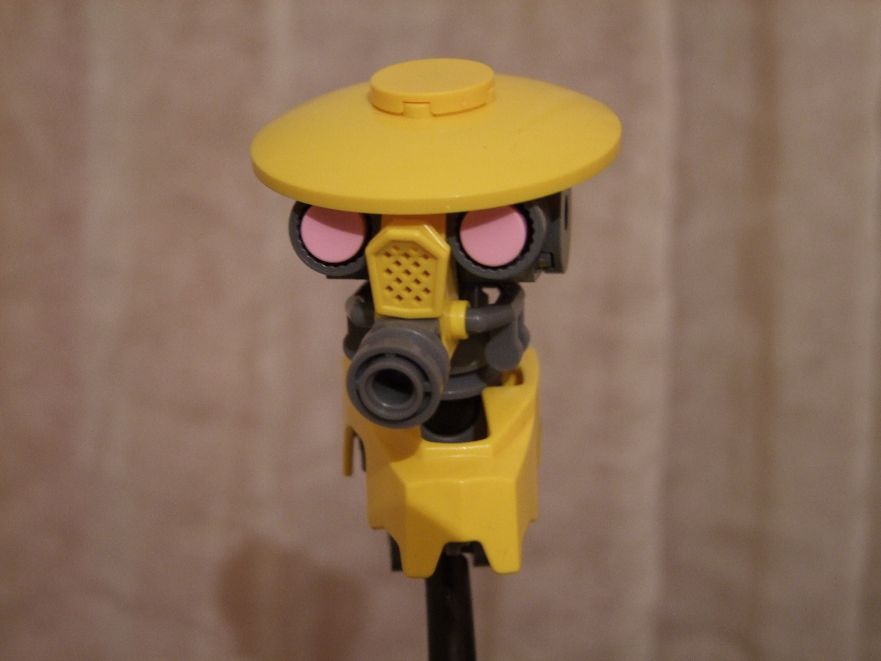 dscf5059.jpg