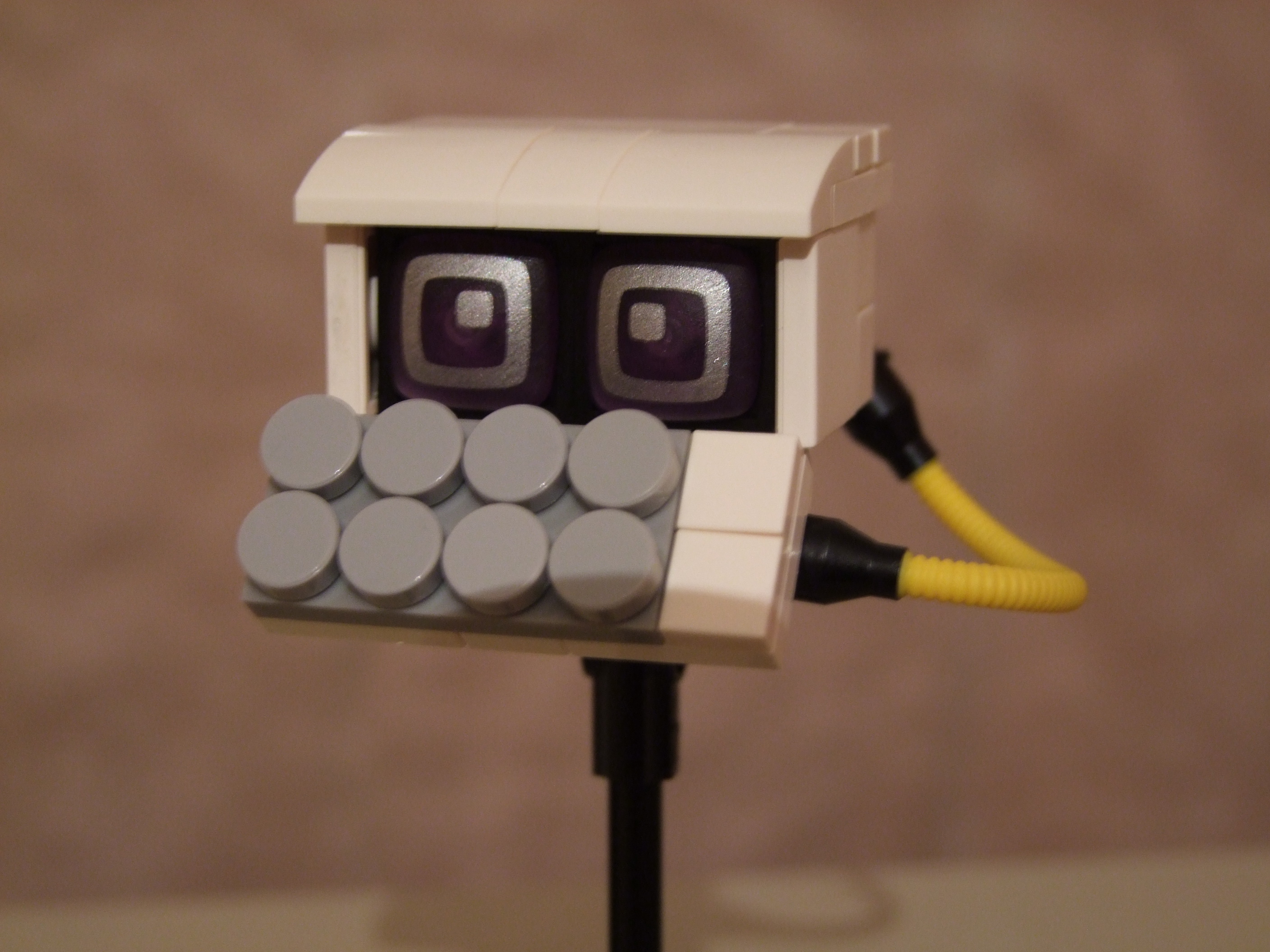 dscf5188.jpg