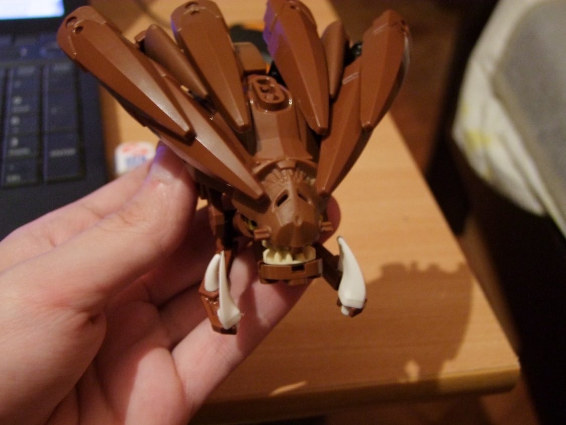 dscf7306.jpg