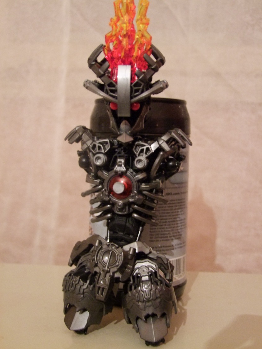 dscf8609.jpg
