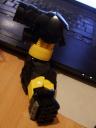 dscf0919.jpg