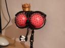 dscf4849.jpg