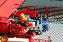 bb2011_355.jpg