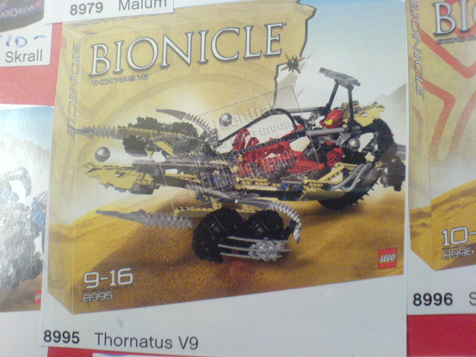 summer_2009_4.jpg