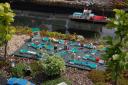 dsc_0722.jpg