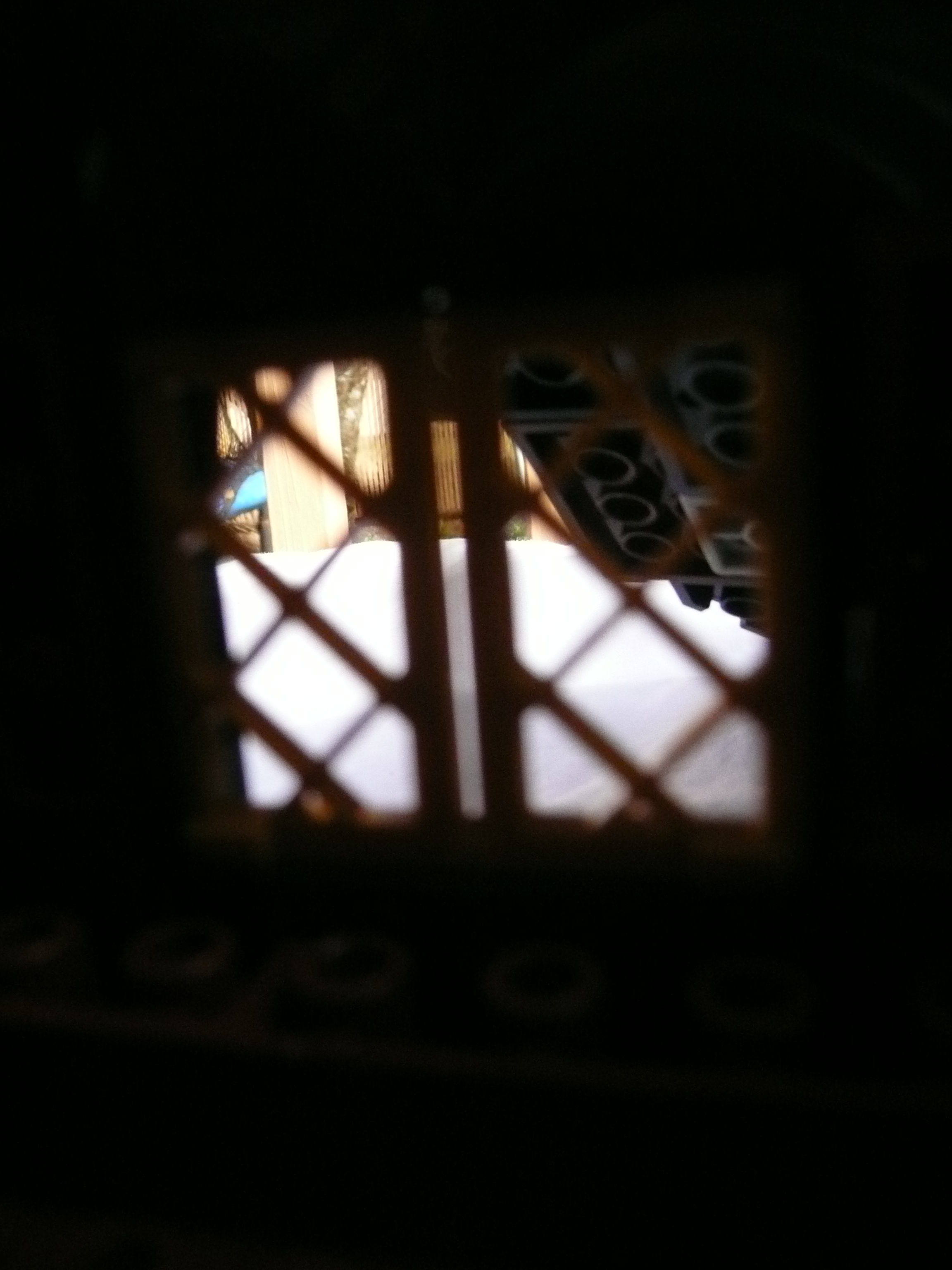 picture_174.jpg