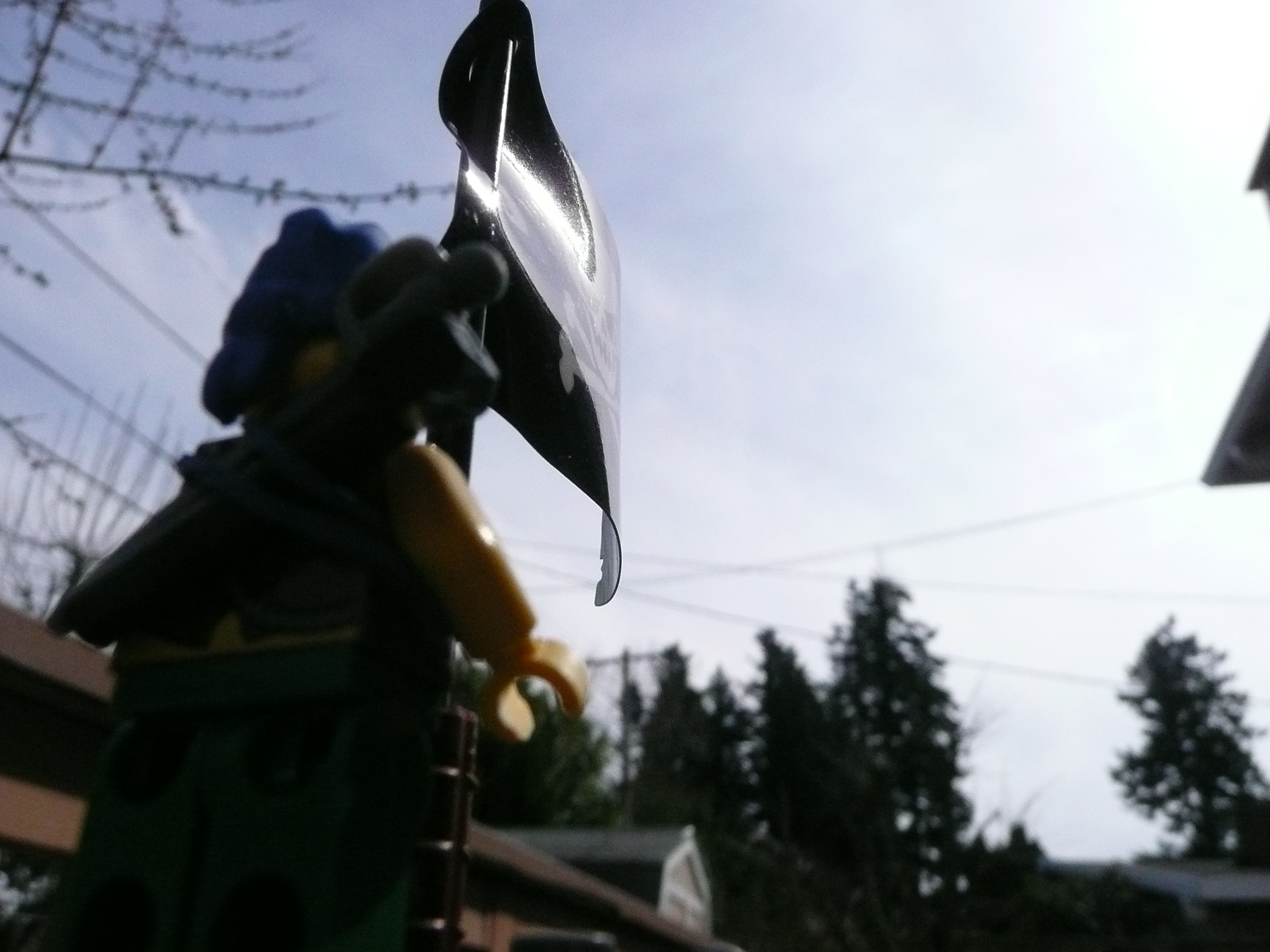 picture_181.jpg