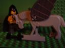 witch_knight_2.jpg