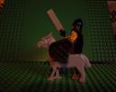 witch_knight_3.jpg