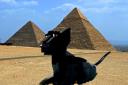 catinegypt.jpg