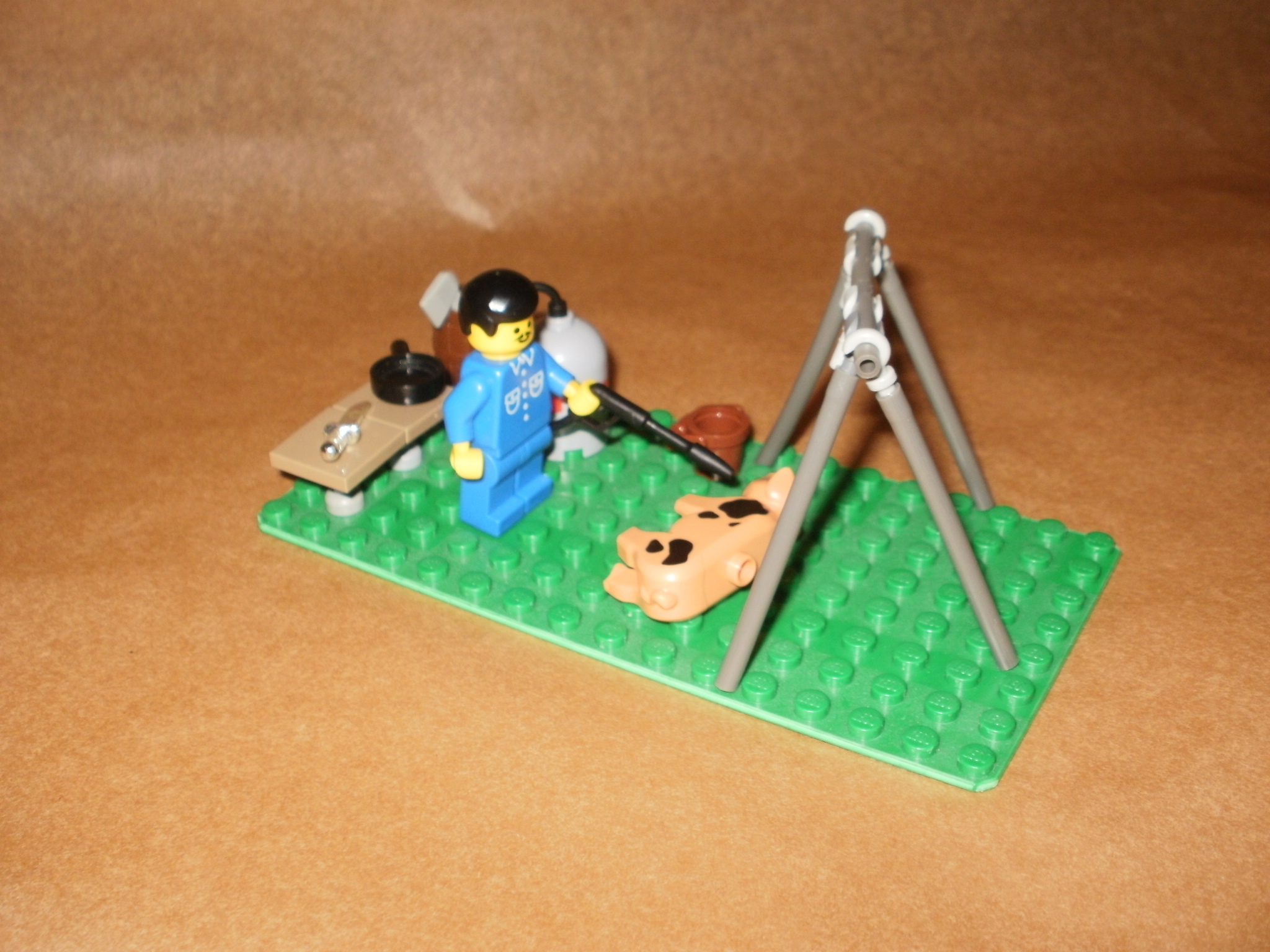 p2010097.jpg