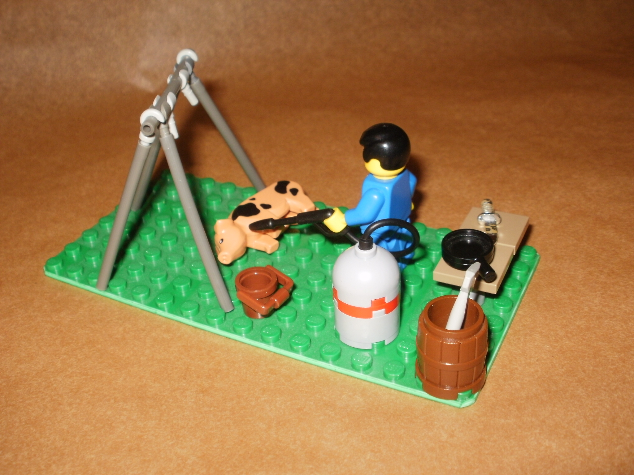 p2010098.jpg