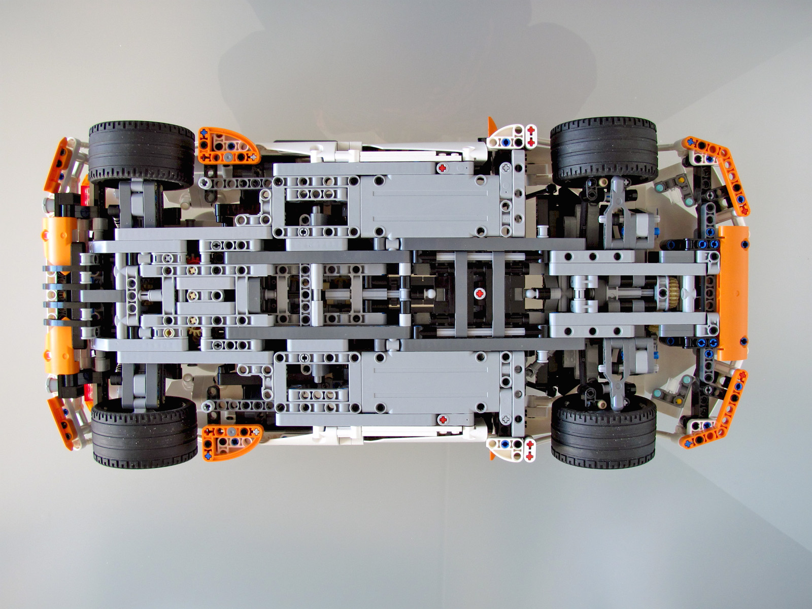 predator_underside.jpg