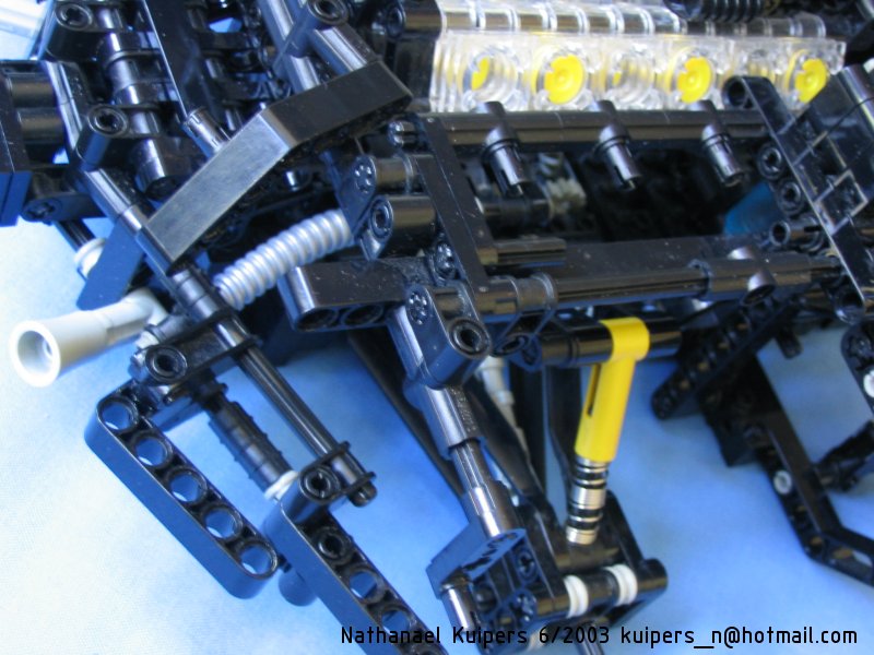totalstripped09.jpg