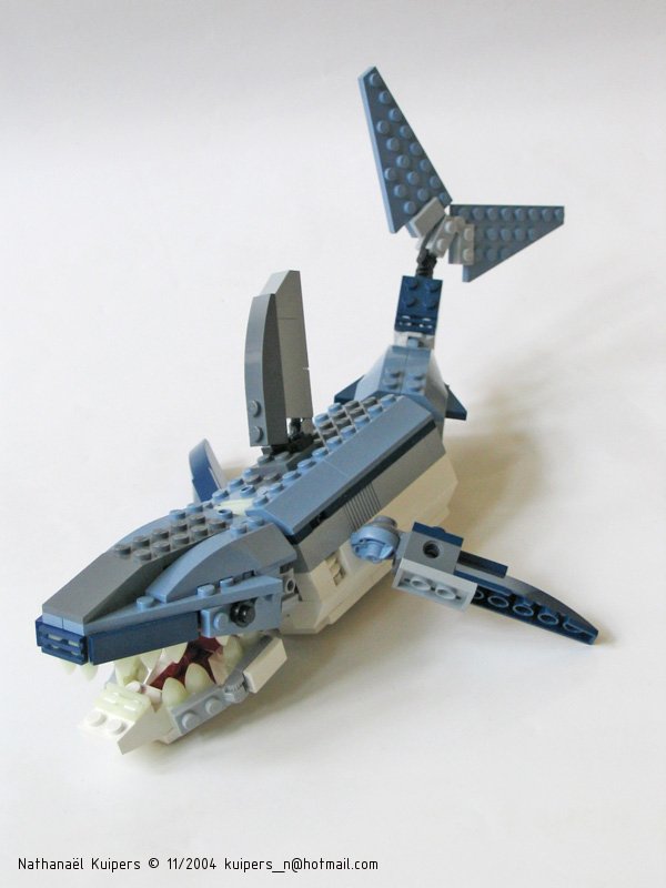 fish_4506.jpg